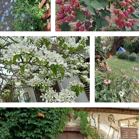 Marabu Balatonberény