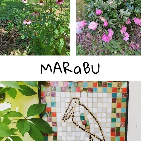Marabu Vendeghaz