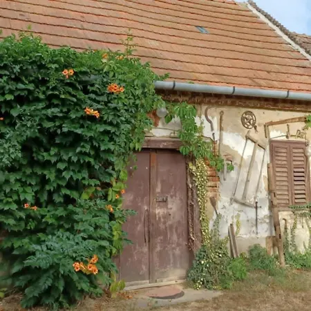 Marabu Vendeghaz Balatonbereny