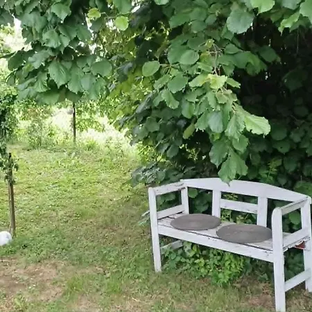Holiday home Marabu Vendeghaz Balatonbereny