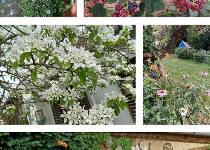 Marabu Vendeghaz Balatonberény